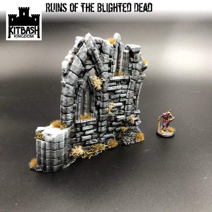 Ruins of the Blighted Dead - Scenery