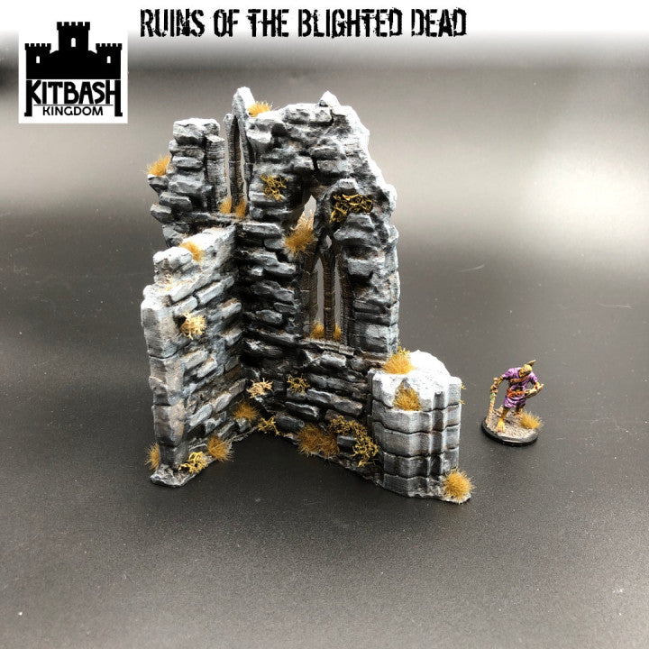 Ruins of the Blighted Dead - Scenery