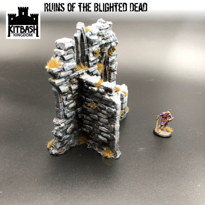 Ruins of the Blighted Dead - Scenery