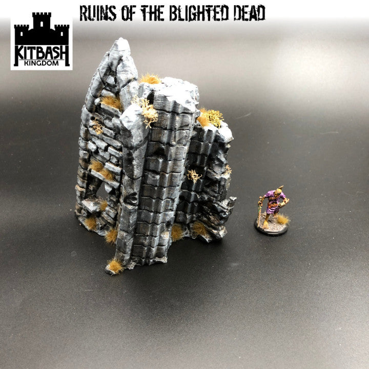 Ruins of the Blighted Dead - Scenery
