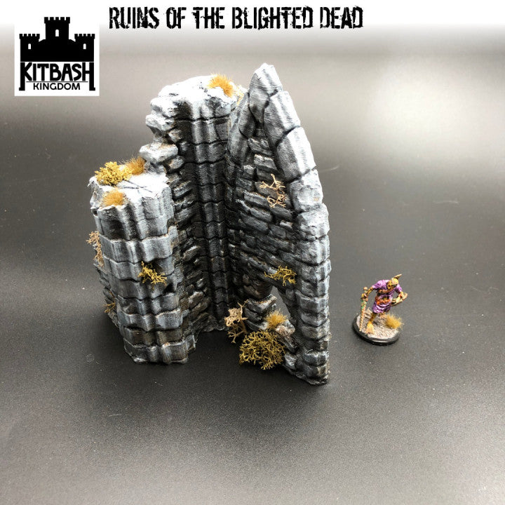 Ruins of the Blighted Dead - Scenery
