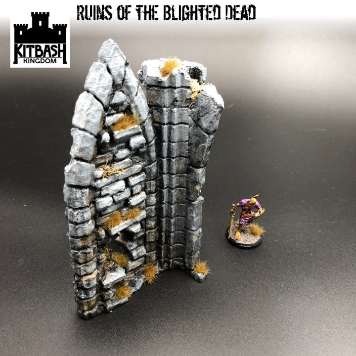 Ruins of the Blighted Dead - Scenery