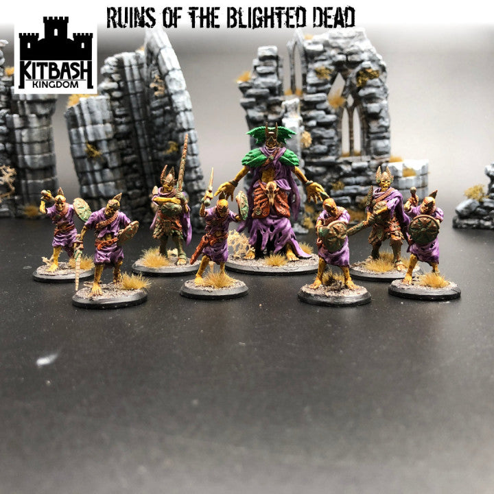 Ruins of the Blighted Dead - Miniatures