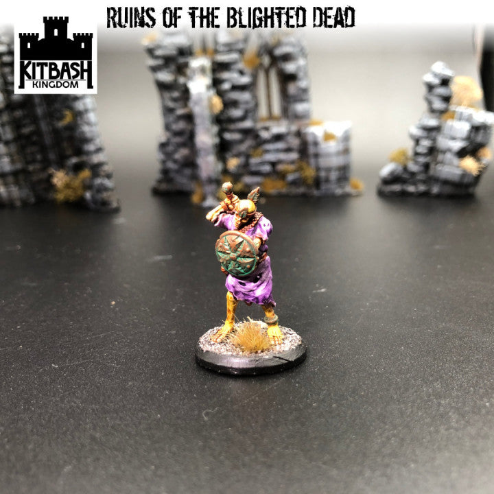 Ruins of the Blighted Dead - Miniatures