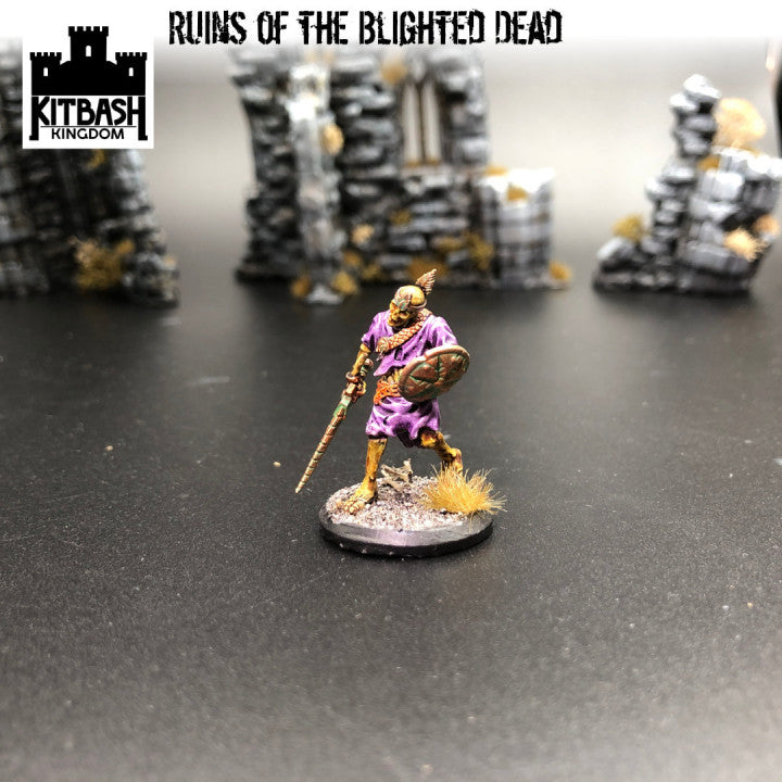 Ruins of the Blighted Dead - Miniatures