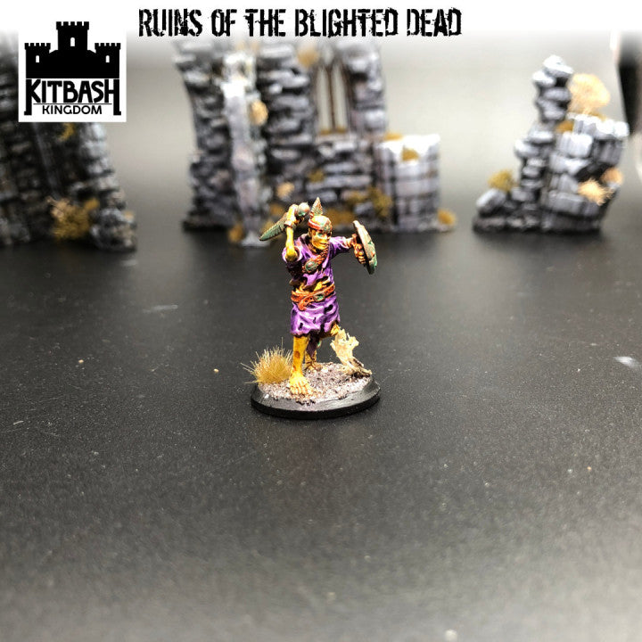 Ruins of the Blighted Dead - Miniatures