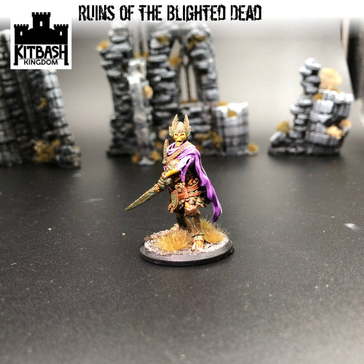 Ruins of the Blighted Dead - Miniatures