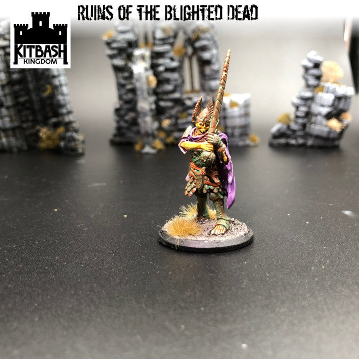 Ruins of the Blighted Dead - Miniatures