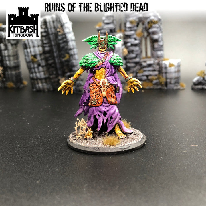 Ruins of the Blighted Dead - Miniatures