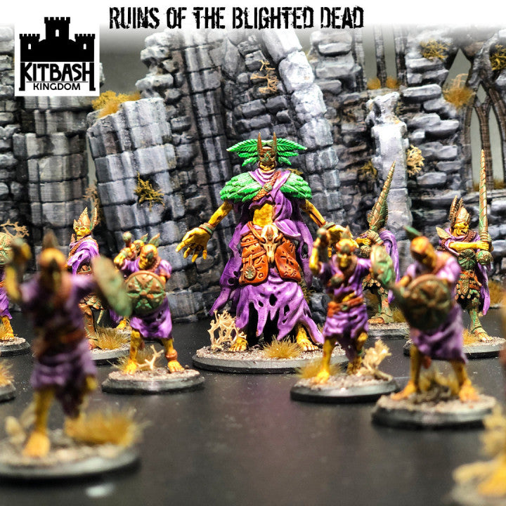 Ruins of the Blighted Dead - Miniatures